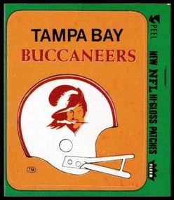 77FTAS Tampa Bay Buccaneers Helmet.jpg